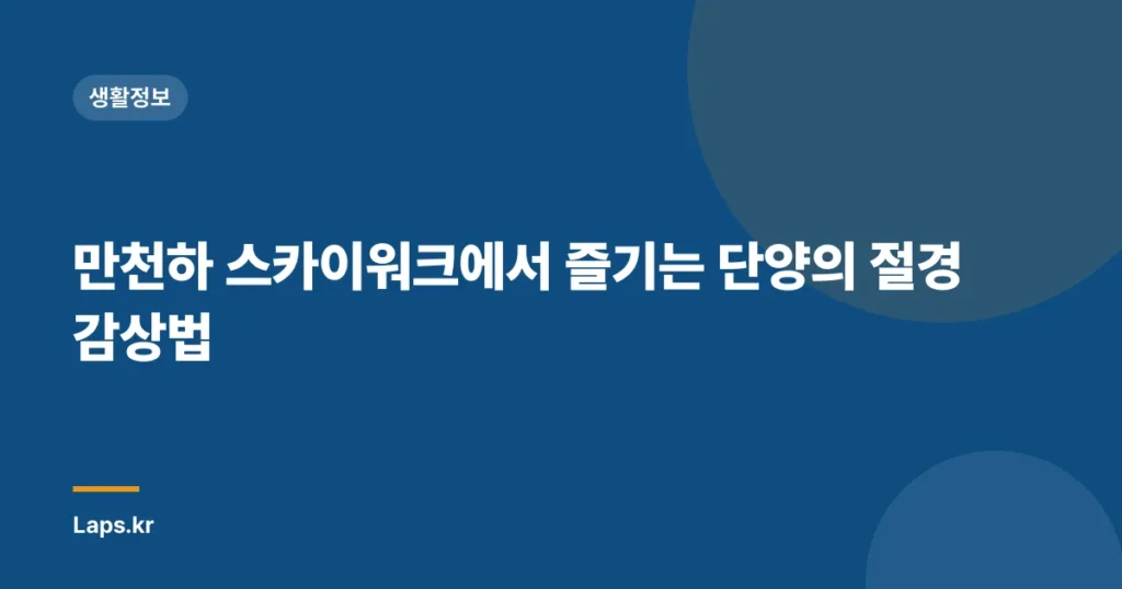 만천하 스카이워크에서 즐기는 단양의 절경 감상법