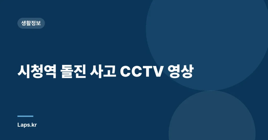 시청역 돌진 사고 CCTV 영상