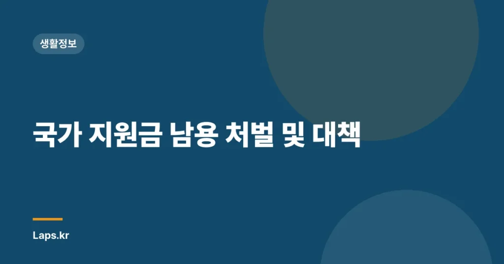 국가 지원금 남용 처벌 및 대책