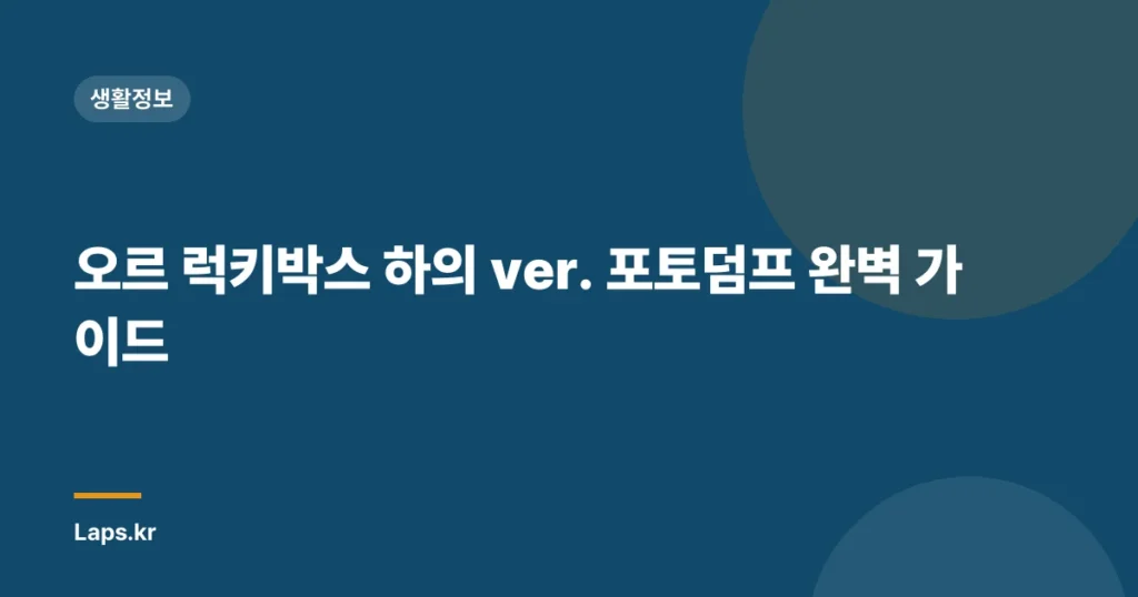 오르 럭키박스 하의 ver. 포토덤프 완벽 가이드