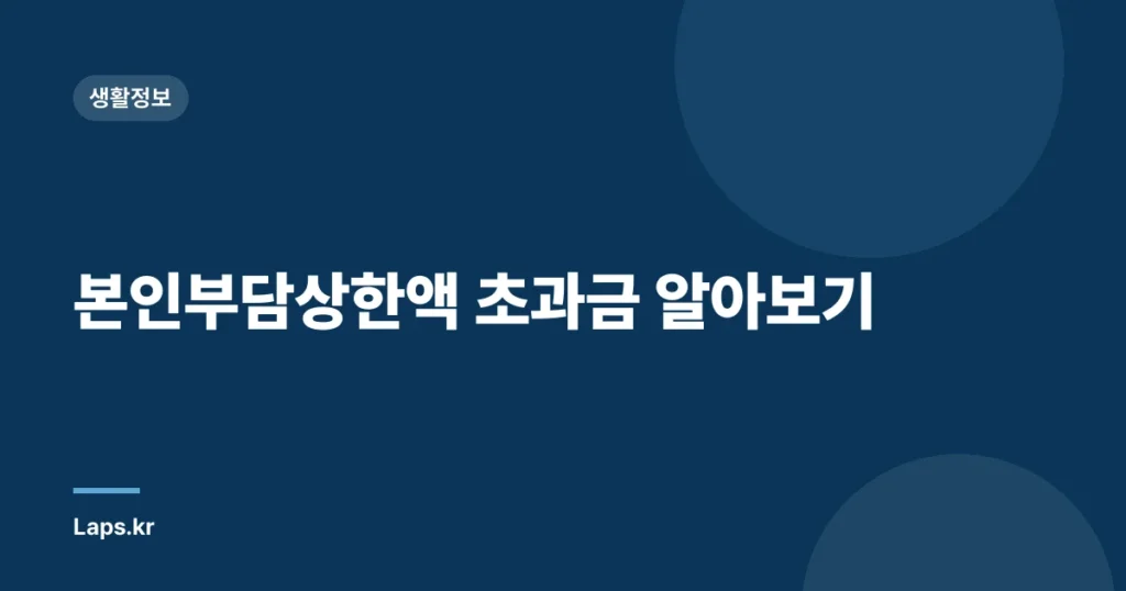 본인부담상한액 초과금 알아보기