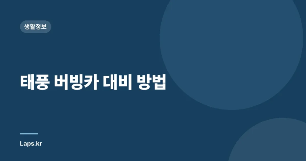 태풍 버빙카 대비 방법