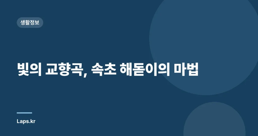 빛의 교향곡, 속초 해돋이의 마법