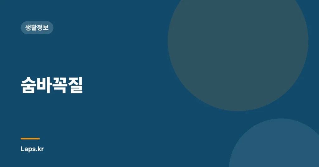 숨바꼭질