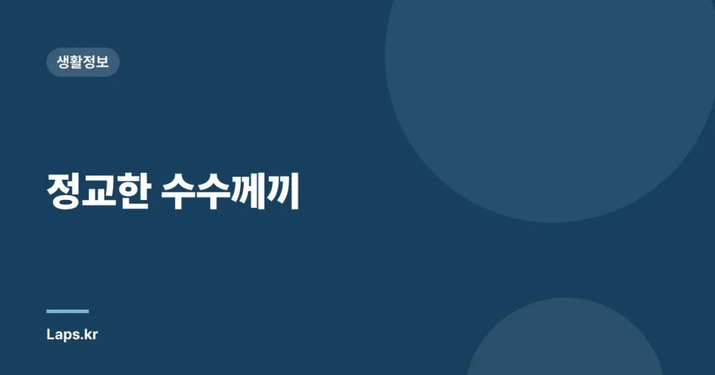 정교한 수수께끼