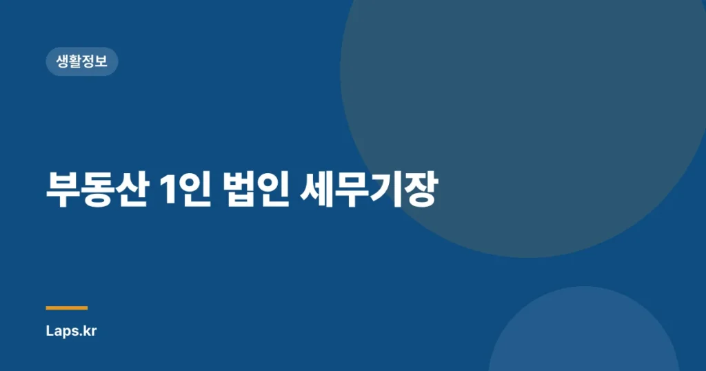 부동산 1인 법인 세무기장