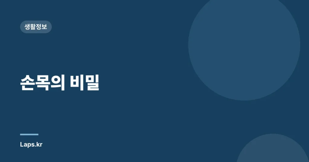 손목의 비밀