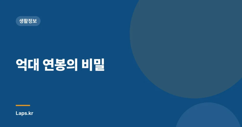 억대 연봉의 비밀