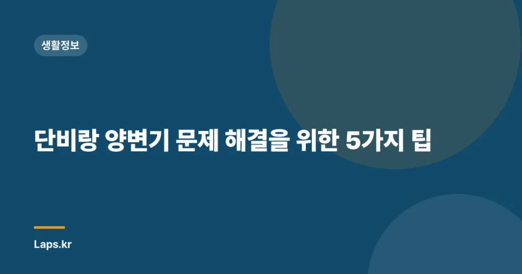 단비랑 양변기 문제 해결을 위한 5가지 팁