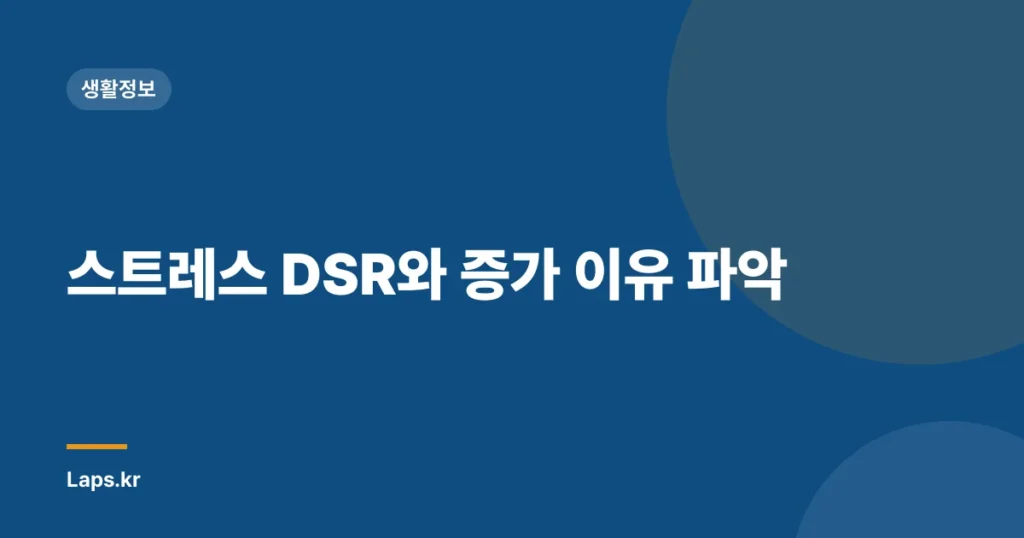 스트레스 DSR와 증가 이유 파악