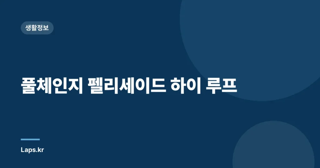 풀체인지 펠리세이드 하이 루프