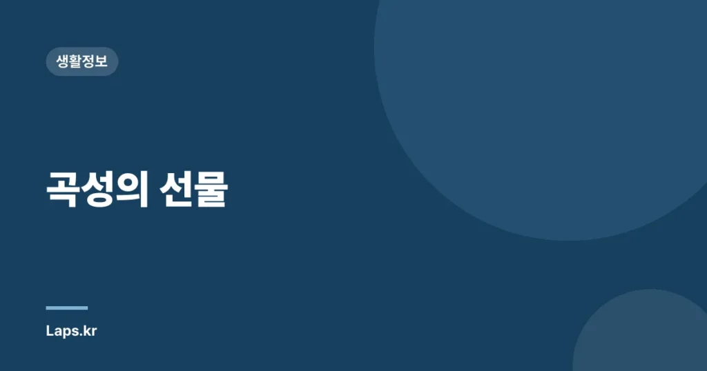 곡성의 선물