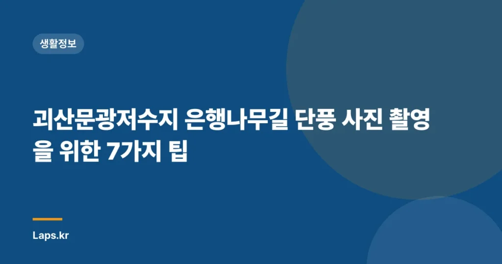 괴산문광저수지 은행나무길 단풍 사진 촬영을 위한 7가지 팁