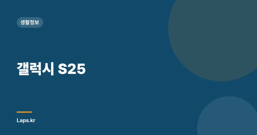 갤럭시 S25