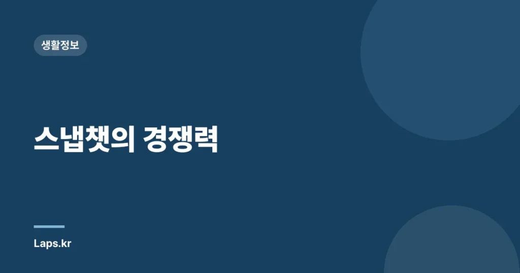 스냅챗의 경쟁력