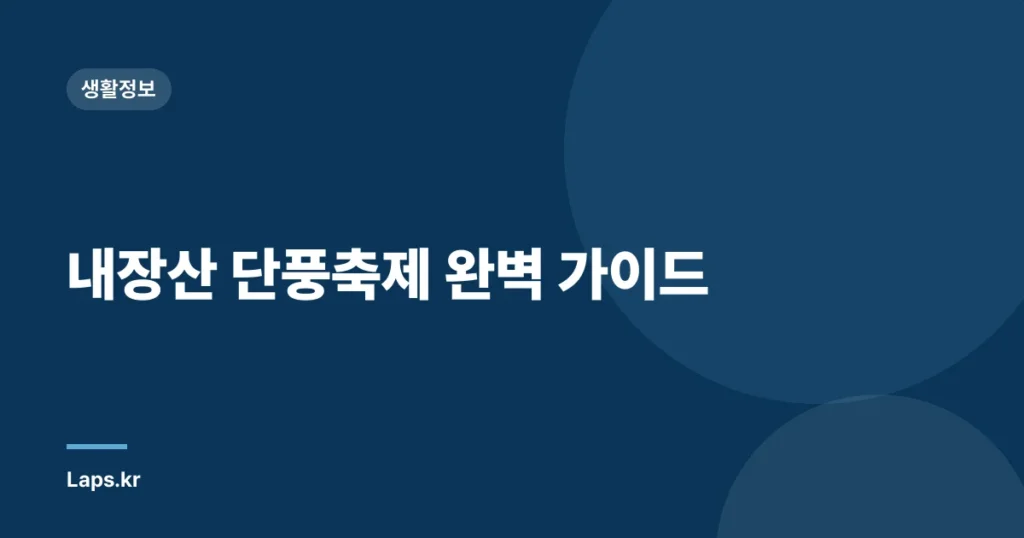 내장산 단풍축제 완벽 가이드