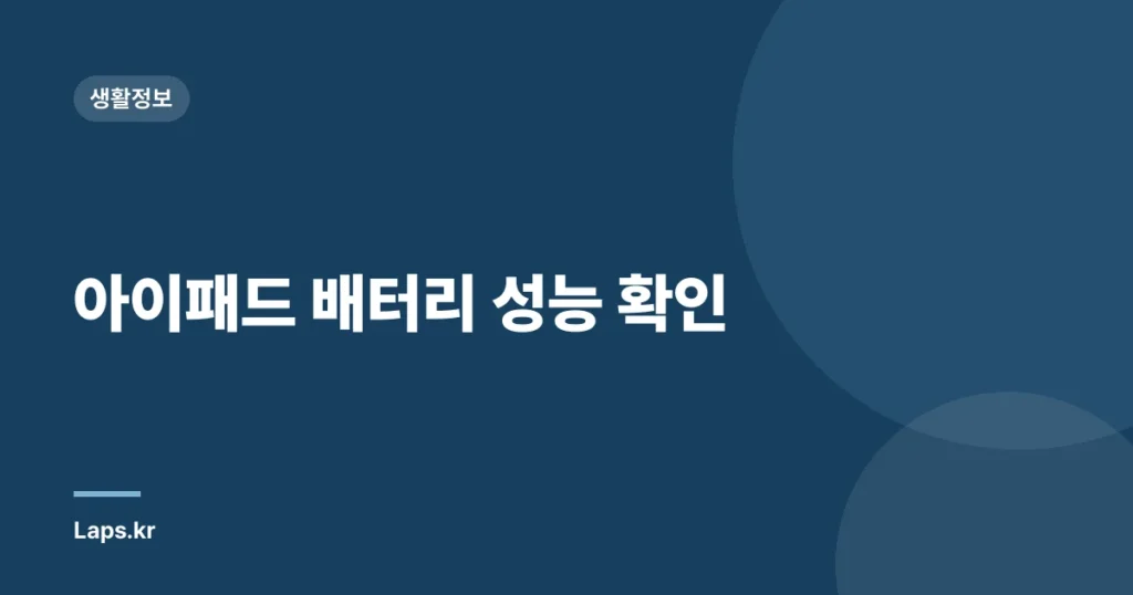아이패드 배터리 성능 확인