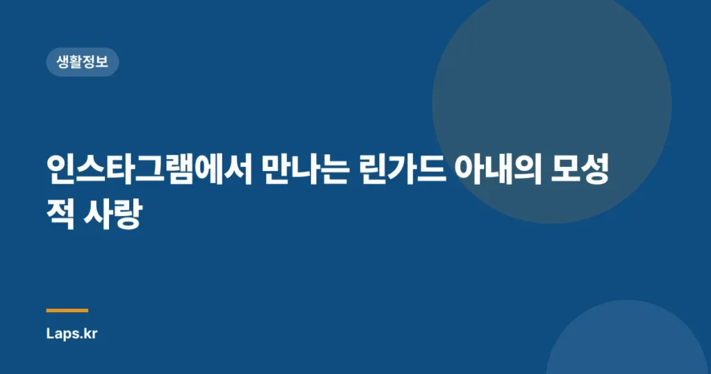 인스타그램에서 만나는 린가드 아내의 모성적 사랑