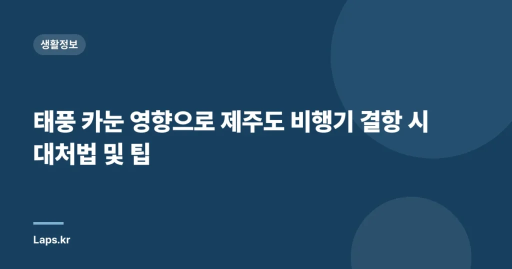 태풍 카눈 영향으로 제주도 비행기 결항 시 대처법 및 팁