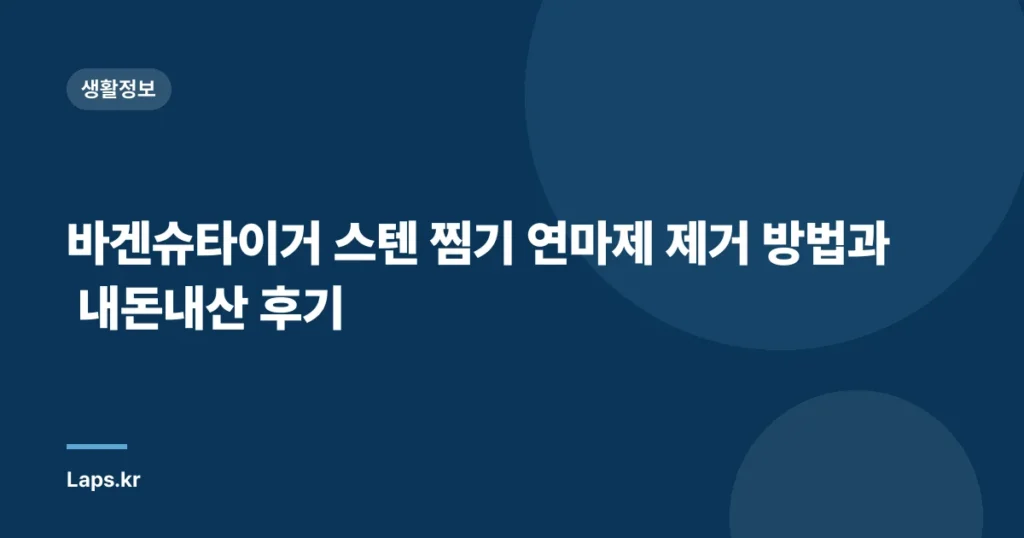바겐슈타이거 스텐 찜기 연마제 제거 방법과 내돈내산 후기