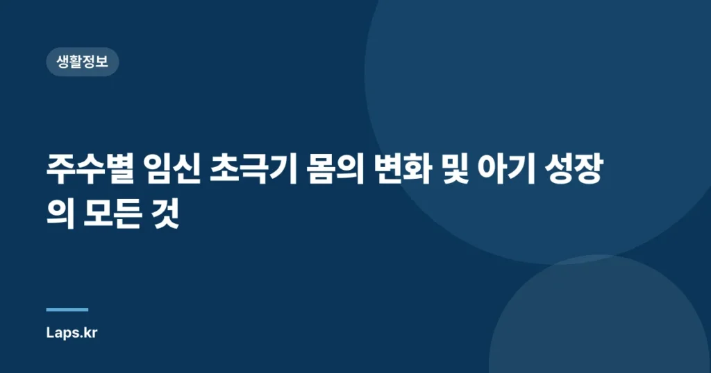 주수별 임신 초극기 몸의 변화 및 아기 성장의 모든 것