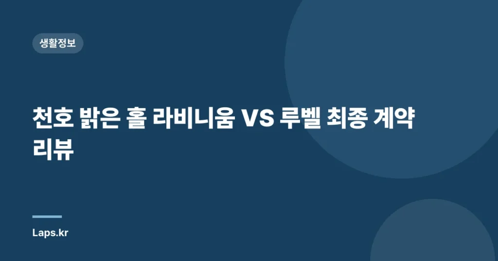 천호 밝은 홀 라비니움 VS 루벨 최종 계약 리뷰