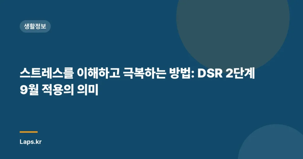 스트레스를 이해하고 극복하는 방법: DSR 2단계 9월 적용의 의미