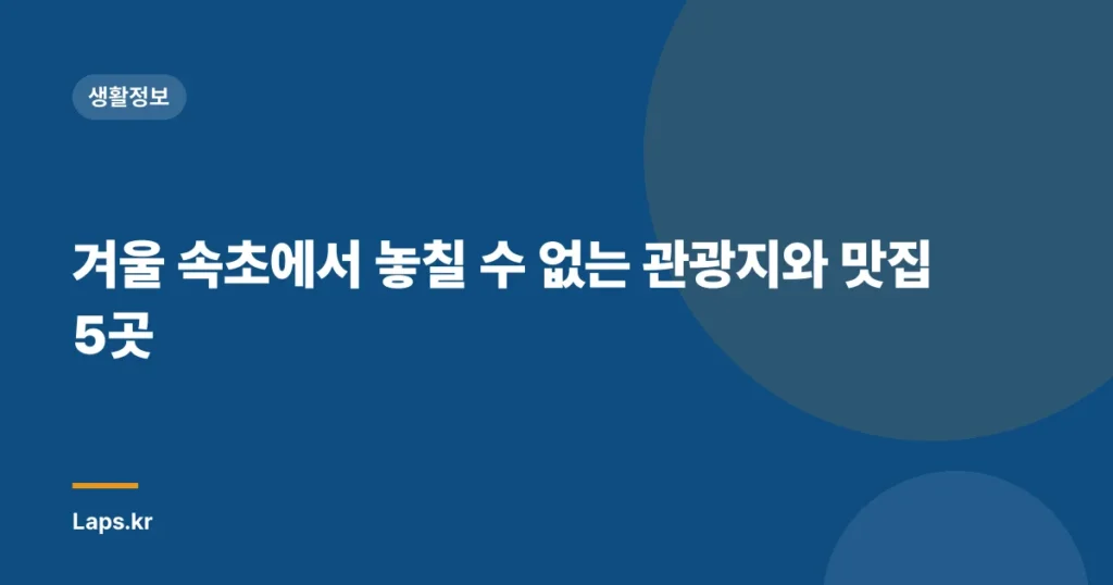 겨울 속초에서 놓칠 수 없는 관광지와 맛집 5곳
