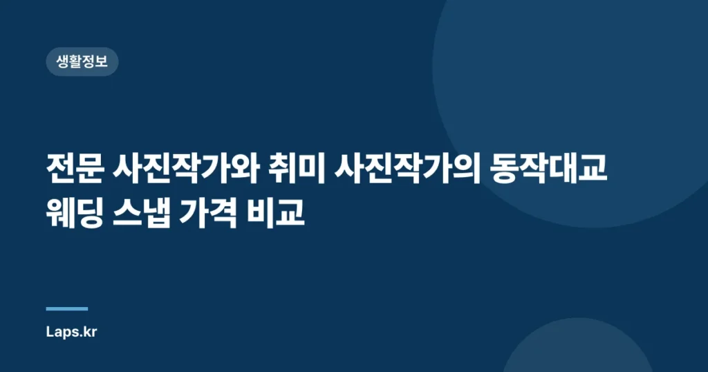 전문 사진작가와 취미 사진작가의 동작대교 웨딩 스냅 가격 비교