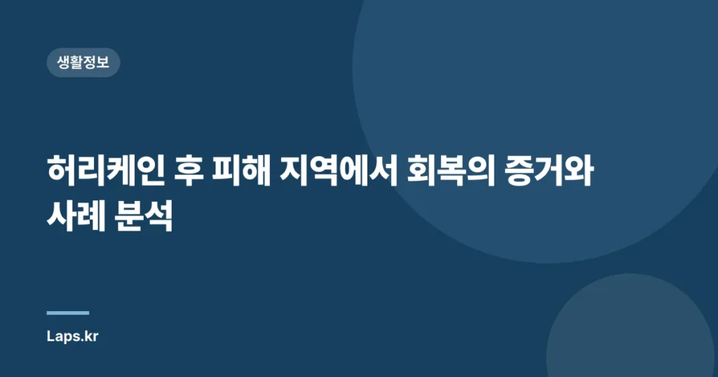 허리케인 후 피해 지역에서 회복의 증거와 사례 분석