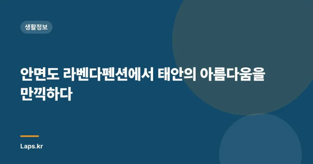 안면도 라벤다펜션에서 태안의 아름다움을 만끽하다