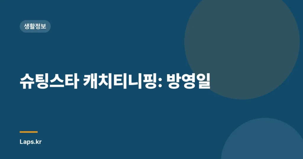 슈팅스타 캐치티니핑: 방영일