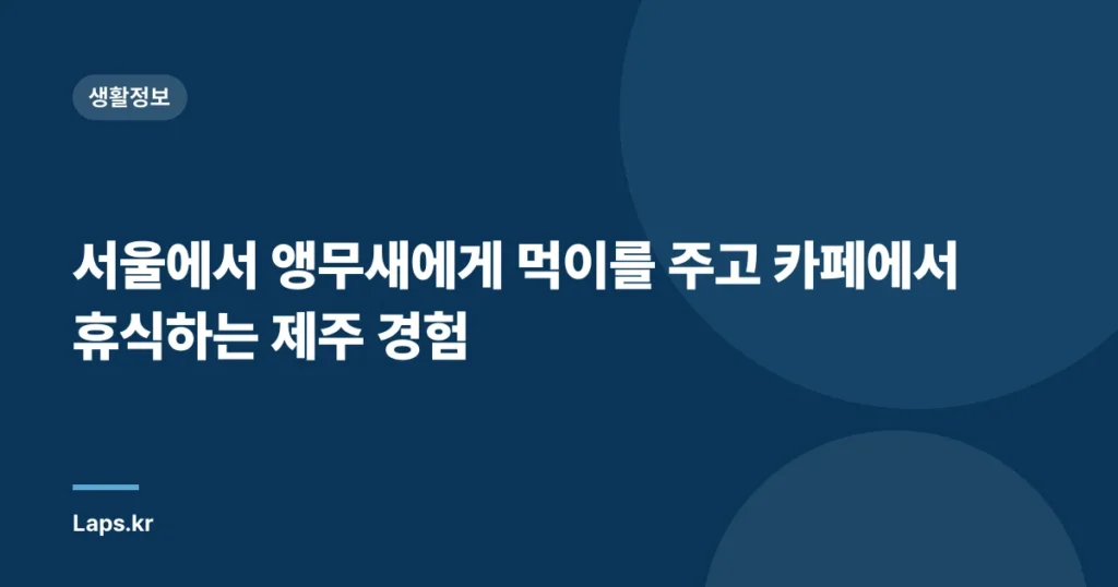 서울에서 앵무새에게 먹이를 주고 카페에서 휴식하는 제주 경험