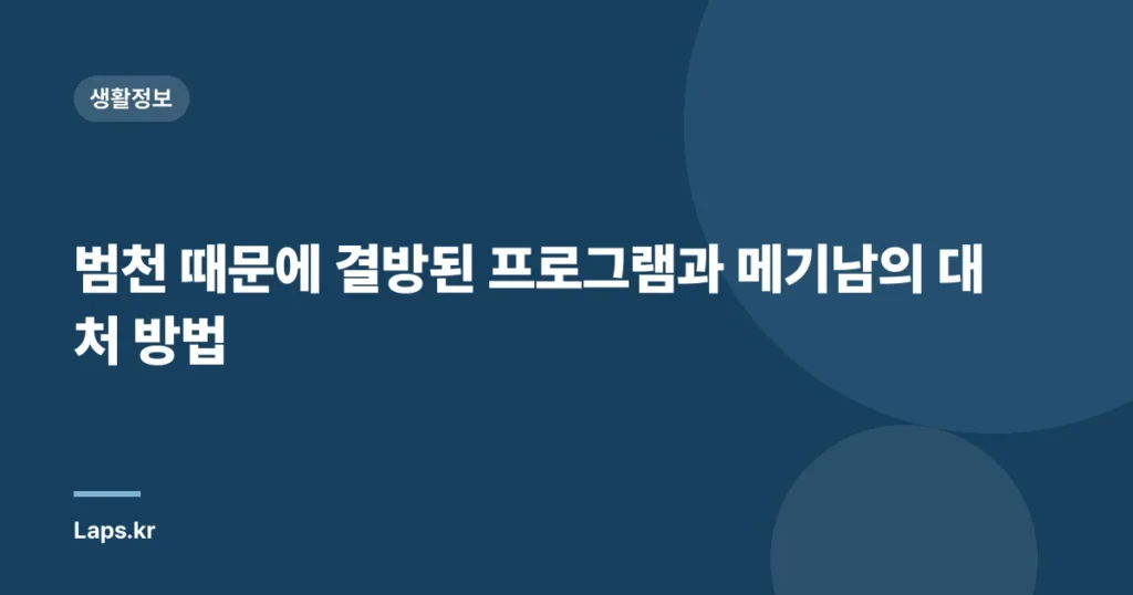 범천 때문에 결방된 프로그램과 메기남의 대처 방법