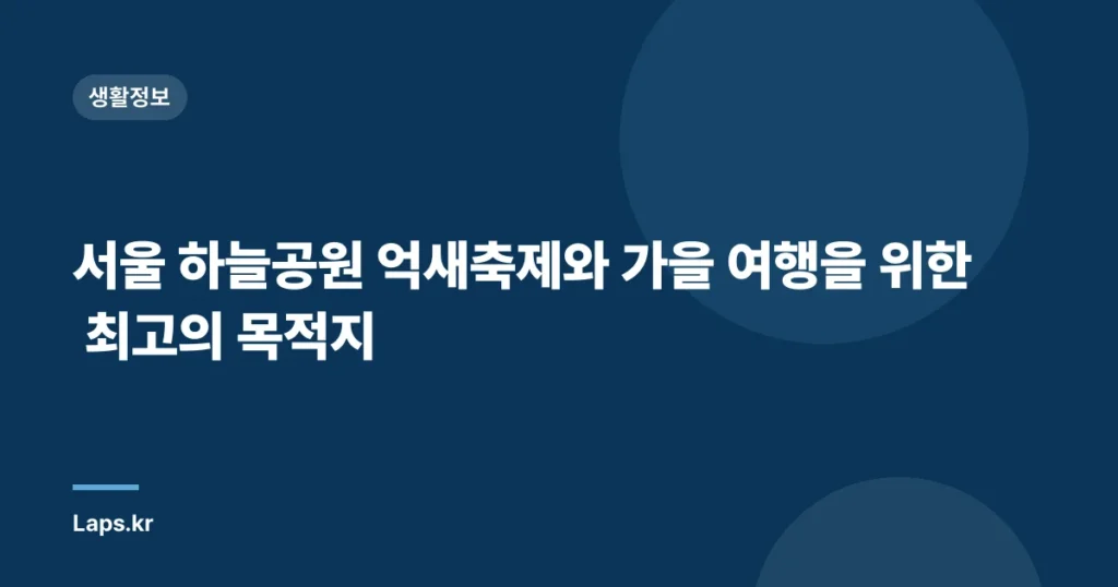 서울 하늘공원 억새축제와 가을 여행을 위한 최고의 목적지