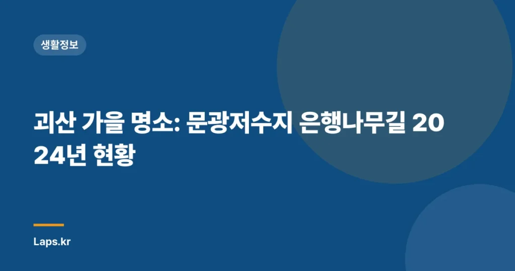 괴산 가을 명소: 문광저수지 은행나무길 2024년 현황