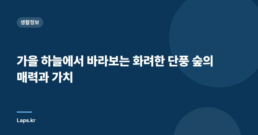 가을 하늘에서 바라보는 화려한 단풍 숲의 매력과 가치