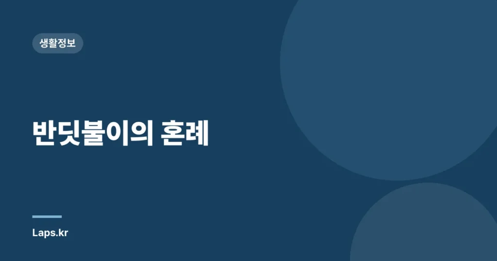 반딧불이의 혼례