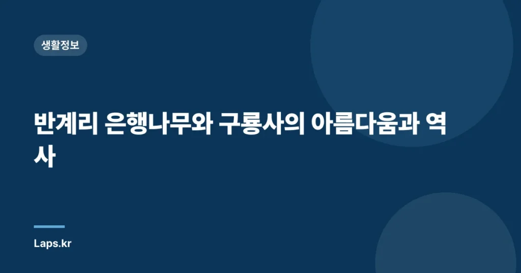 반계리 은행나무와 구룡사의 아름다움과 역사