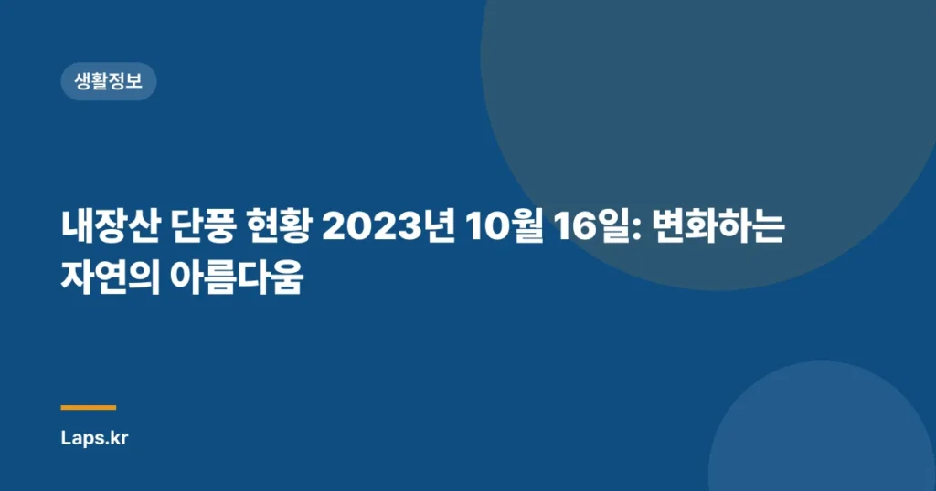 내장산 단풍 현황 2023년 10월 16일: 변화하는 자연의 아름다움