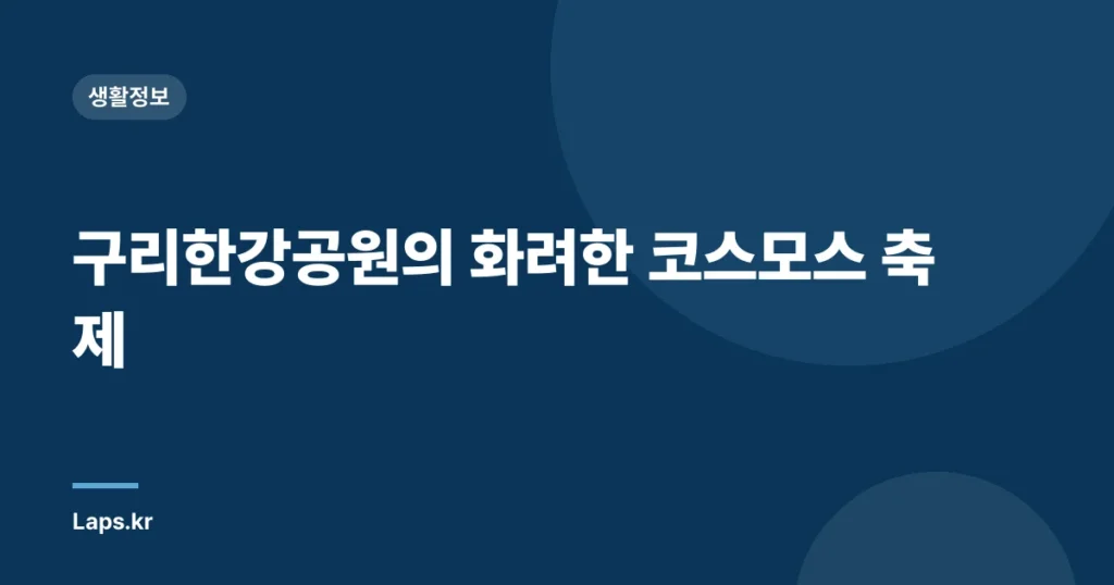 구리한강공원의 화려한 코스모스 축제