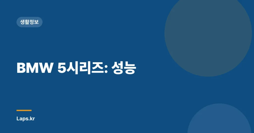 BMW 5시리즈: 성능