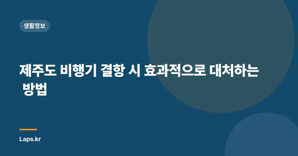 제주도 비행기 결항 시 효과적으로 대처하는 방법