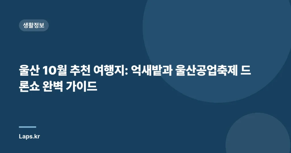 울산 10월 추천 여행지: 억새밭과 울산공업축제 드론쇼 완벽 가이드
