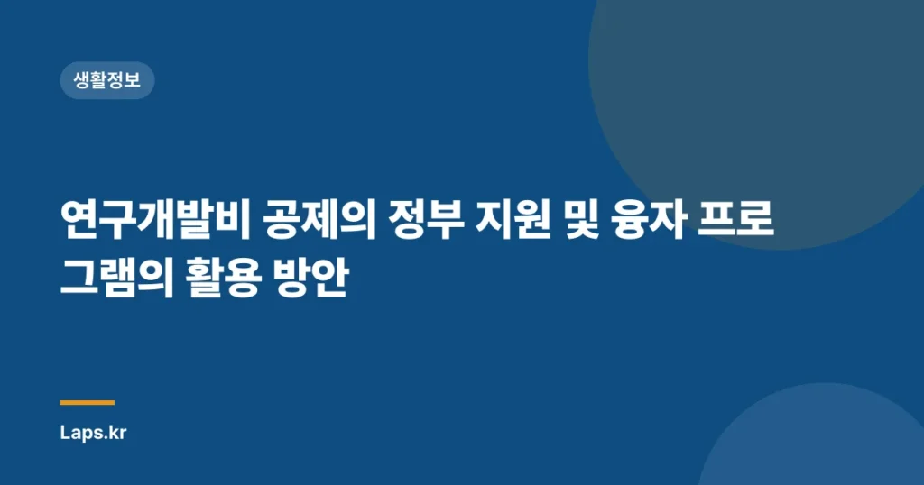 연구개발비 공제의 정부 지원 및 융자 프로그램의 활용 방안