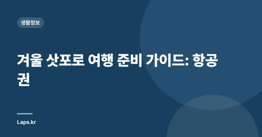 겨울 삿포로 여행 준비 가이드: 항공권