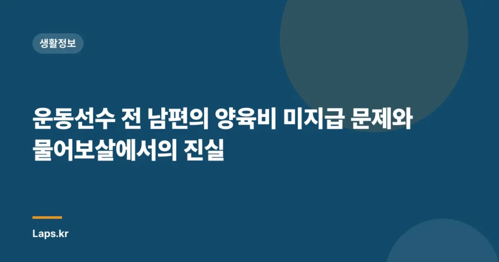 운동선수 전 남편의 양육비 미지급 문제와 물어보살에서의 진실