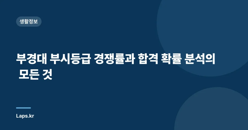 부경대 부시등급 경쟁률과 합격 확률 분석의 모든 것