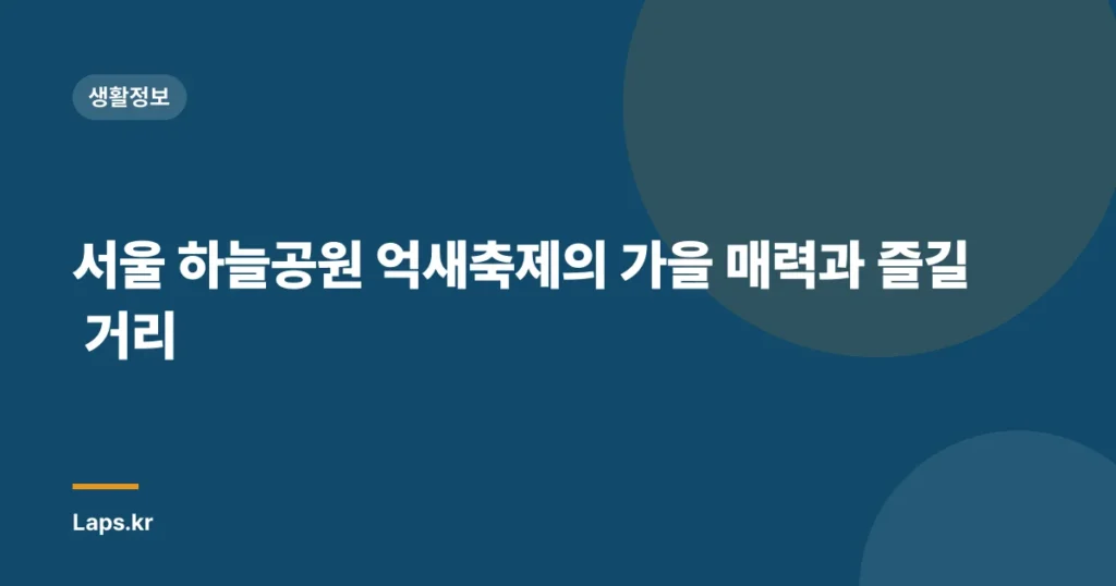 서울 하늘공원 억새축제의 가을 매력과 즐길 거리