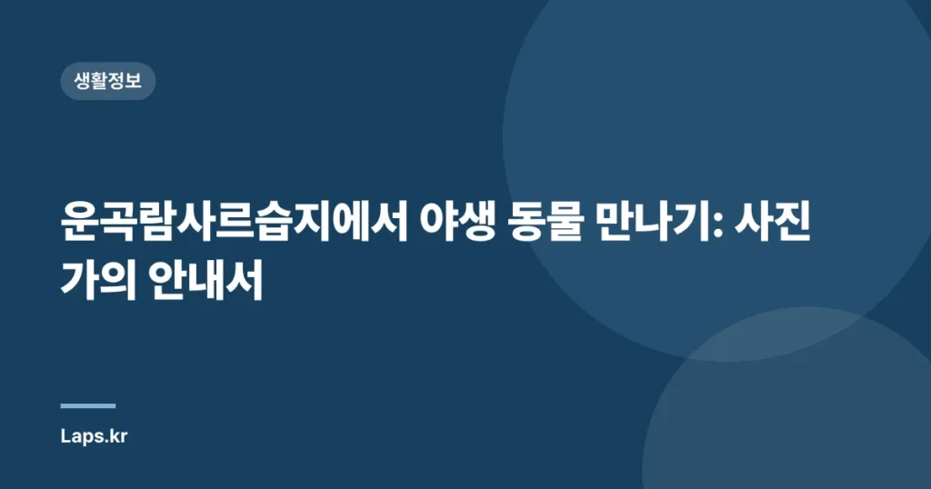 운곡람사르습지에서 야생 동물 만나기: 사진가의 안내서